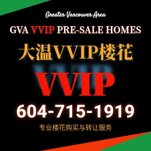 241220144354_VVIP presales.png